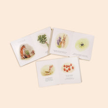 Load image into Gallery viewer, Paige Tate Our Little Adventures Box Set for Kids (3 Board Books)