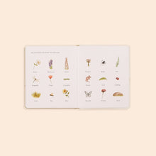 Load image into Gallery viewer, Paige Tate Our Little Adventures Box Set for Kids (3 Board Books)