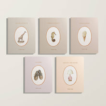 Load image into Gallery viewer, Paige Tate Our Little Library Vol. 2 ( 5 Board Books)