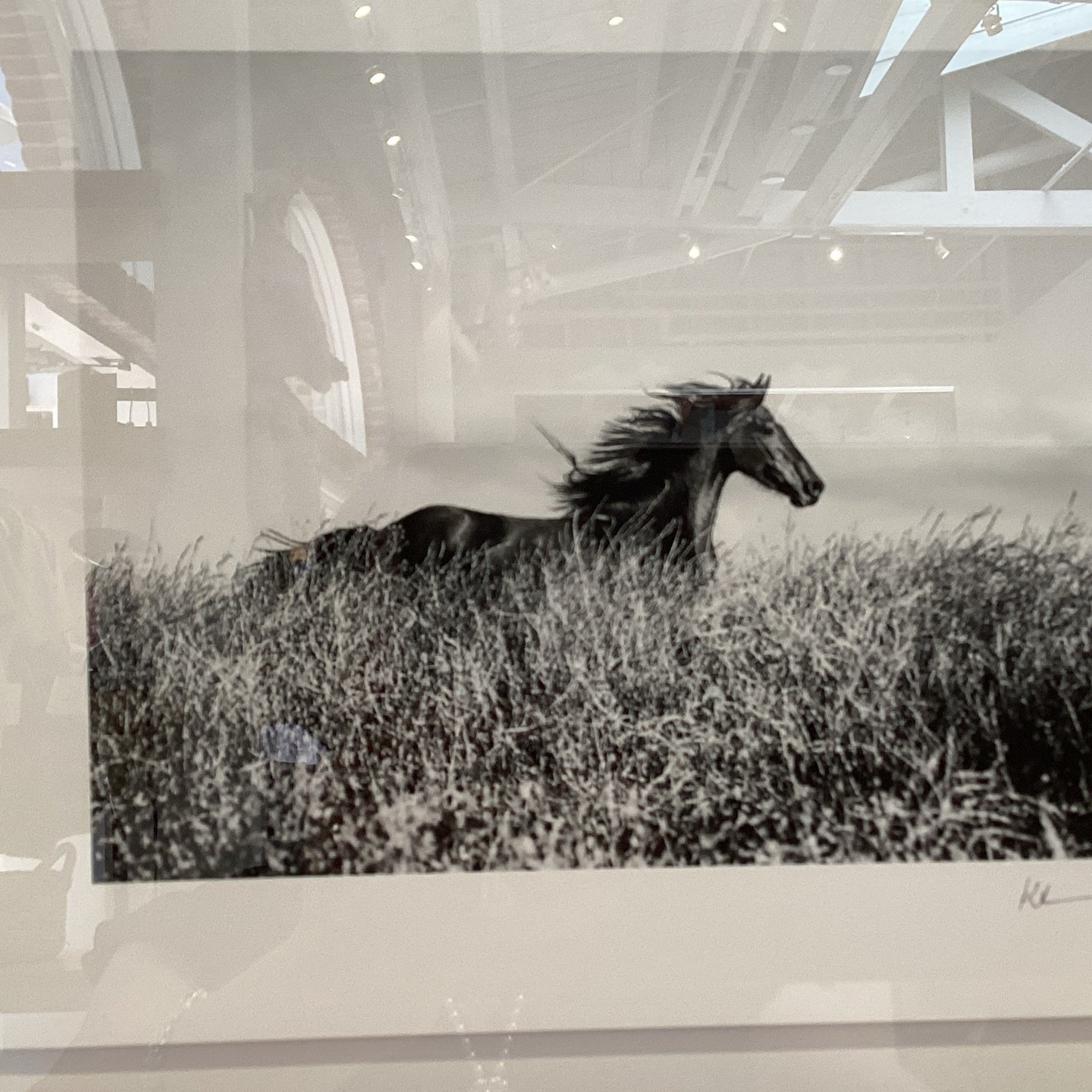 Photography Katie Cowlishaw “Running Through the Fields” Black Frame Small