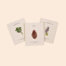 Load image into Gallery viewer, Paige Tate Our Little Adventures Box Set for Kids (3 Board Books)