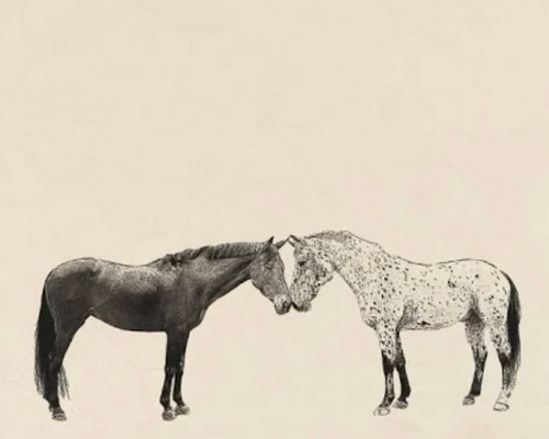 Kissing Horse Tea Towel