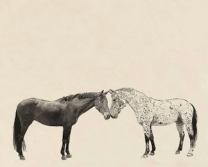 Kissing Horse Tea Towel